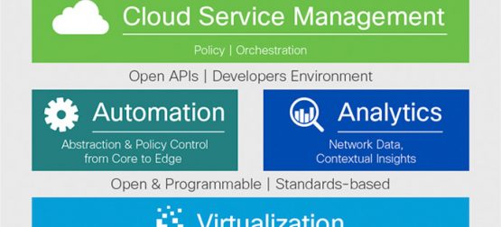 curso oficial Digital Network Architecture Implementation Essentials (DNAIE) gifará